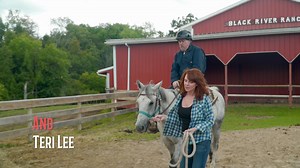 Horse Camp: A Love Tail