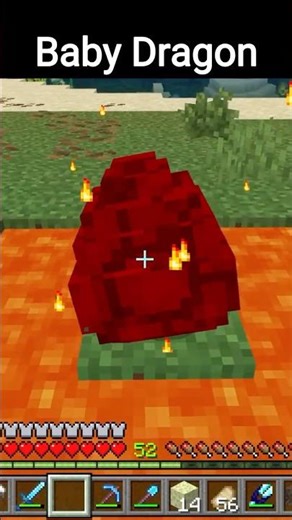 Hatching a Baby Dragon