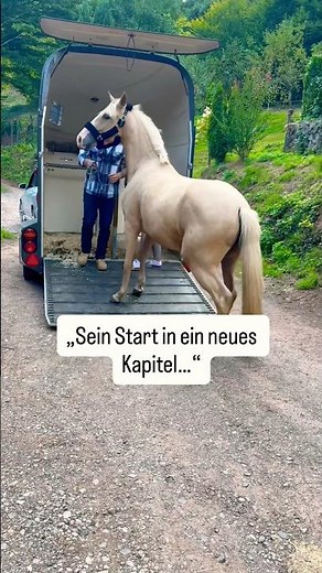 „Picasso ist da! 🐴 Sein Weg vom Jungpferd zum Partner beginnt | Jungpferde Ausbildung“ #horse