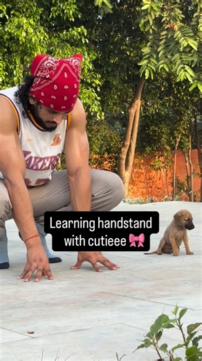Vishal on Instagram: "Here’s a clear, beginner-friendly guide to learning a handstand safely and effectively: ⭐ 1. Warm Up First Handstands need strong wrists, shoulders, and core. Spend 5–10 minutes on: Wrist circles + gentle wrist stretches Shoulder taps or plank holds Light cardio (jumping jacks, jogging in place) ⭐ 2. Build the Basics Before trying to balance upside down, make sure you can do: A. Plank hold (30–60 seconds) Teaches core tension. B. Wall walk Start in a push-up position with y