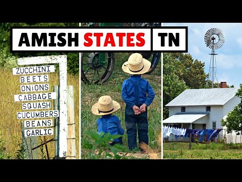 The Amish in Tennessee (12+ Communities)