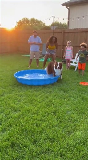 Frisbee Splash Fail in the Kiddie Pool