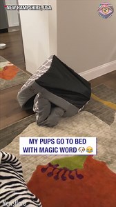 24K views · 62 reactions | You'll never guess the word  | Bright Side Fun | Facebook