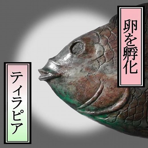 メトロポリタンの名作⑱《魚をかたどる化粧皿》古代エジプト、紀元前1479年-前1425年頃、メトロポリタン美術館