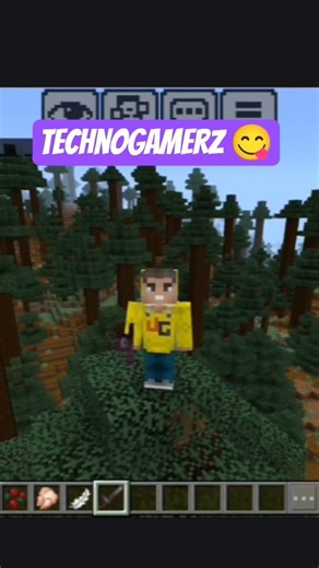 All Minecraft Creators on One Frame //Technoblade fans#senpaispider fans#technogamerz#gamerfleet❤️