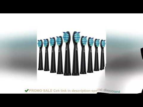 4/5/10/20Pcs Electric Toothbrush Replacement Heads Compatible With SEAGO SG910/507/958/515/949/575/5