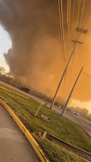 Joseph Cotton on Reels