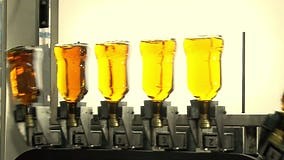 Whiskey and Brandy Production Line. Factory Machine Pouring Alcohol into Bottles Stock Footage - Video of bottle, automatic: 288944996