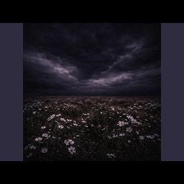 Washing machine heart (slowed + reverb)