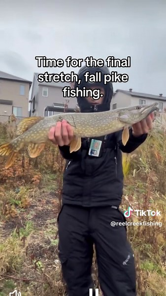 Fall Pike Fishing Tips for Better Catch Success