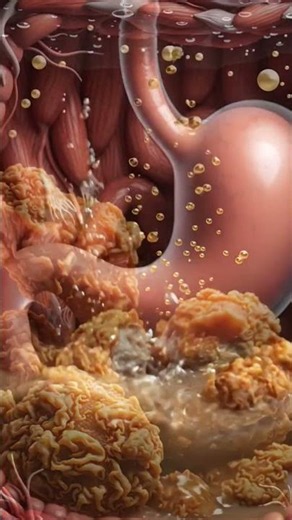 What Fried Chicken Does To Your Blood 3D Anatomy #Fried Chicken#Blood #3D Anatomy