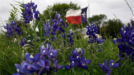 Texas cities named top places to live in the U.S., according to report
