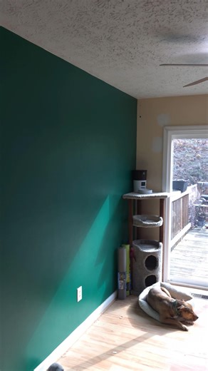 Shelves are cleared out #packing #rvlife #dog #dogs #life