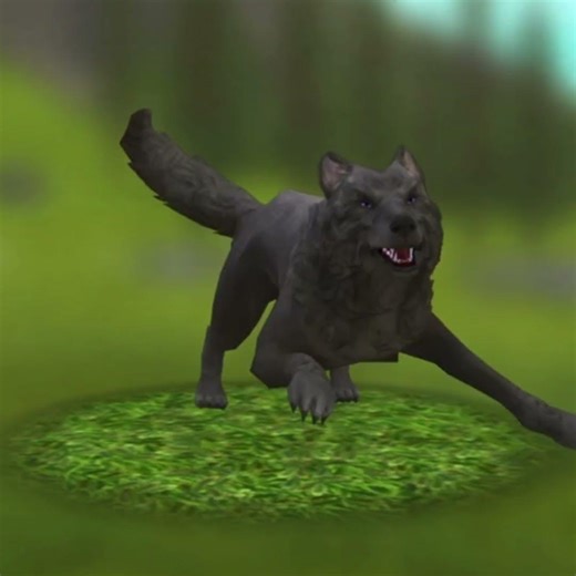 Wildcraft transition loup