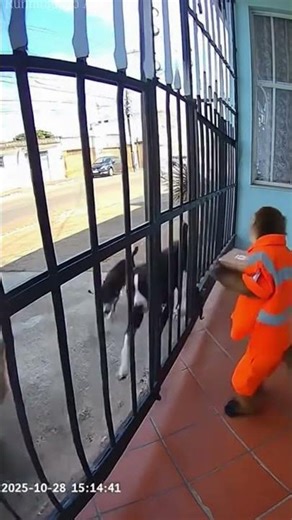 ENTREGA DA SHOPEEEEE #memes #shorts #shopee