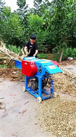 Feeding device chaff cutter machine agricultural equipment #fcnfm #farmmachine