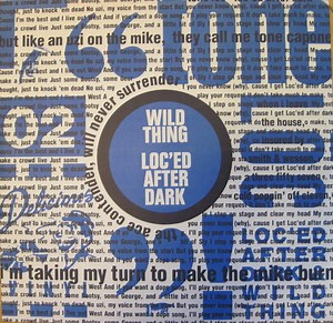 Tone Loc - Wild Thing