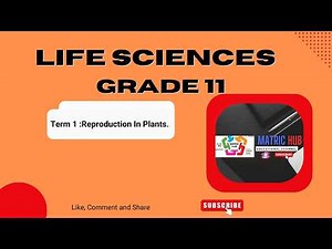 Life Sciences Grade 11- Term 1 :Biodiversity In Plants..