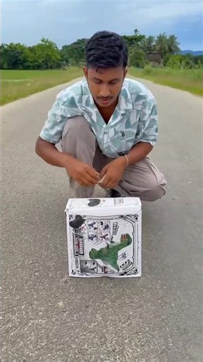 Remote Control Inflatable Dinosaur Unboxing