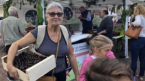 À Noyon, le week-end «fruits rouges» fait débat