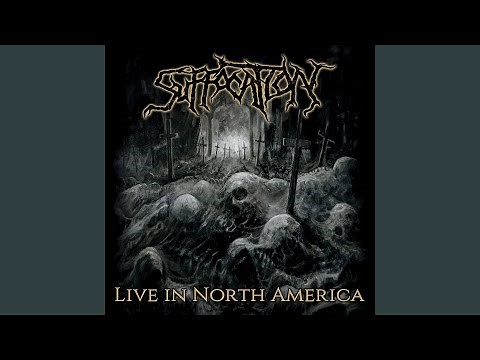 Infecting the Crypts (Live)