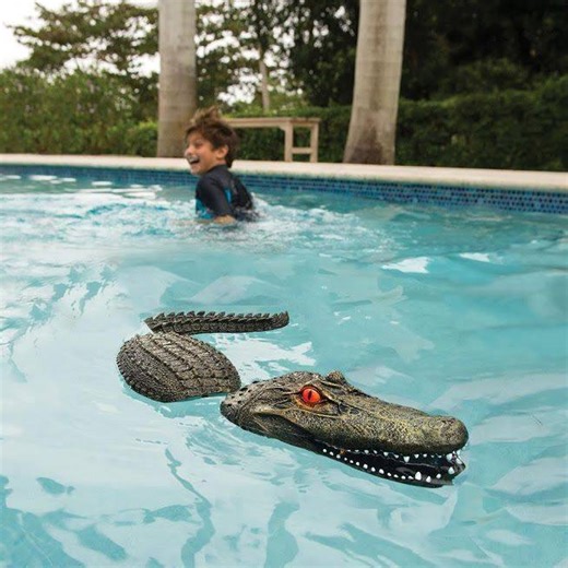 This robotic alligator protects your pool!🐊 | In The Know