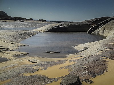Río Orinoco: qué es, características, afluentes, flora y fauna