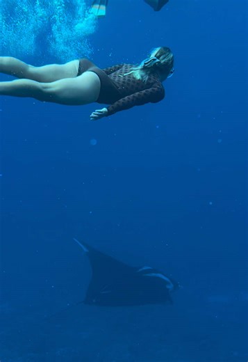 This Giant Pelagic Manta Ray was extremely friendly and curious, filter feeding around our boat and coming in close to check us out. The giant oceanic manta ray (Mobula birostris) is the largest ray in the world. It’s a gentle, filter-feeding fish that can have a wingspan of up to 29 feet. Mantas are known to be highly intelligent, and each one has a unique pattern of spots on its belly that researchers use to identify individuals. They’re cartilaginous fish that live mostly in the open ocean an
