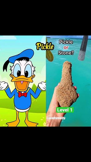 Donald Duck Guess Pickle: Fun Animation by @donaldducc