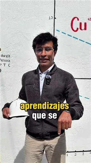 Ingeniería Metalúrgica UPTC Proyecto del Programa