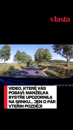 Vlasta on Instagram: "Krátký okamžik překvapení a reakce, která přišla s naprostým klidem. 🙈 Video baví internet právě svou přirozeností a lidskostí. 😁"