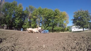 41K views · 392 reactions | World Champion Rodeo Cowboy is Iowan to Know. Local 5's Jack Miller went to Iowa Falls to speak with a teenager who won a world championship. Hear his story: | We Are Iowa Local 5 News | Facebook