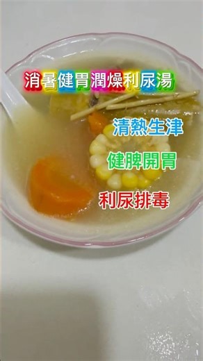 消暑健胃潤燥利尿湯（27 💦清熱生津 🥗健脾開胃 🦠利尿排毒