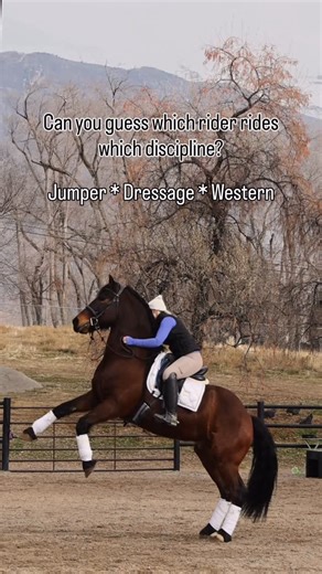 Imperial Kings Stables on Instagram: "Can you match the rider to their discipline? 💚 Sara 💜 Samantha 🩷 Claire Jumper • Western • Dressage Drop your guesses 👇"