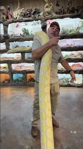 Carrying this 20+ foot giant from one end of the zoo to the other😅