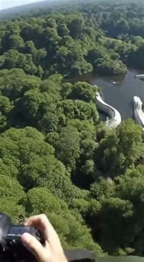 SECRETS OF THE JUNGLE What is the Amazon Hiding #omg #shorts #viral