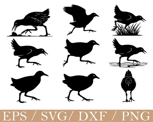 Australian Crake Bird Svg, Dxf, Png - Etsy