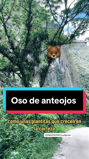 Explora la Flora y Fauna en Machu Picchu