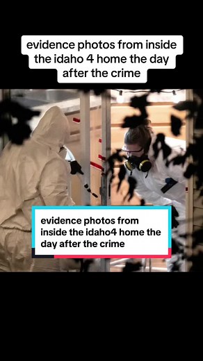 Evidence Photos Inside the Idaho 4 Home | True Crime Investigation