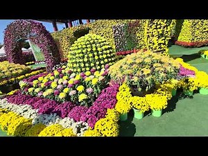 익산 천만송이 국화 축제 (2025년 11월 3일)
