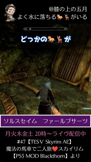 よく水に落ちる🐎🦌がいる #47【TESⅤ Skyrim AE】魔法の馬車で二人旅❤️スカイリム 【PS5 MOD Blackthorn】より #skyrim #ゲーム実況