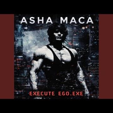 EXECUTE EGO.EXE (SPED-UP)