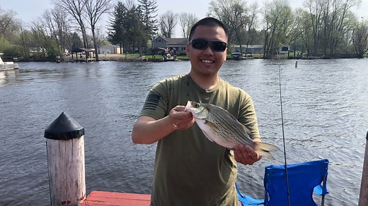 White bass run underway on the Wolf River in Fremont