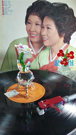 Eunbangul Sisters - Wild Rose 1973 Universal Records (Lyrics) #lp #vinyl