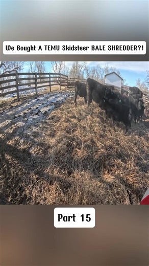Using a TEMU Skidsteer Bale Shredder for Barn Bedding