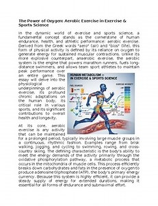 Aerobic Activity in Exercise & Sports Worksheet Subs or Classwork Homework