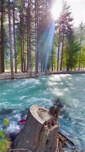 Nature Sound❤️|#shorts |#shortsfeed |#ytshorts |#mountains |#like |#water|