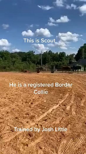 Larra Wheeler (@larra.belle)’s videos with Paradise City - Guns 'N' Roses