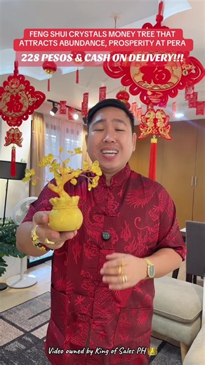 Feng Shui Citrine Crystal Money Tree Enhance your space and attract wealth and prosperity with this stunning Feng Shui Citrine Crystal Money Tree. Handcrafted with care, this beautiful piece features an intricately designed tree with a natural wooden base and branches adorned with radiant citrine crystals.👑🐉🐲🀄️🧧#fengshui #fengshuitips #luckycharm #citrine #moneytree