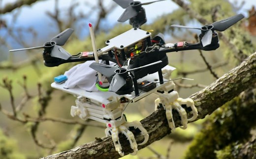 栖息的类鸟机器人｜2021｜斯坦福大学【Science Robotics】